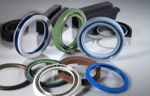 Rotary Seals (1)
